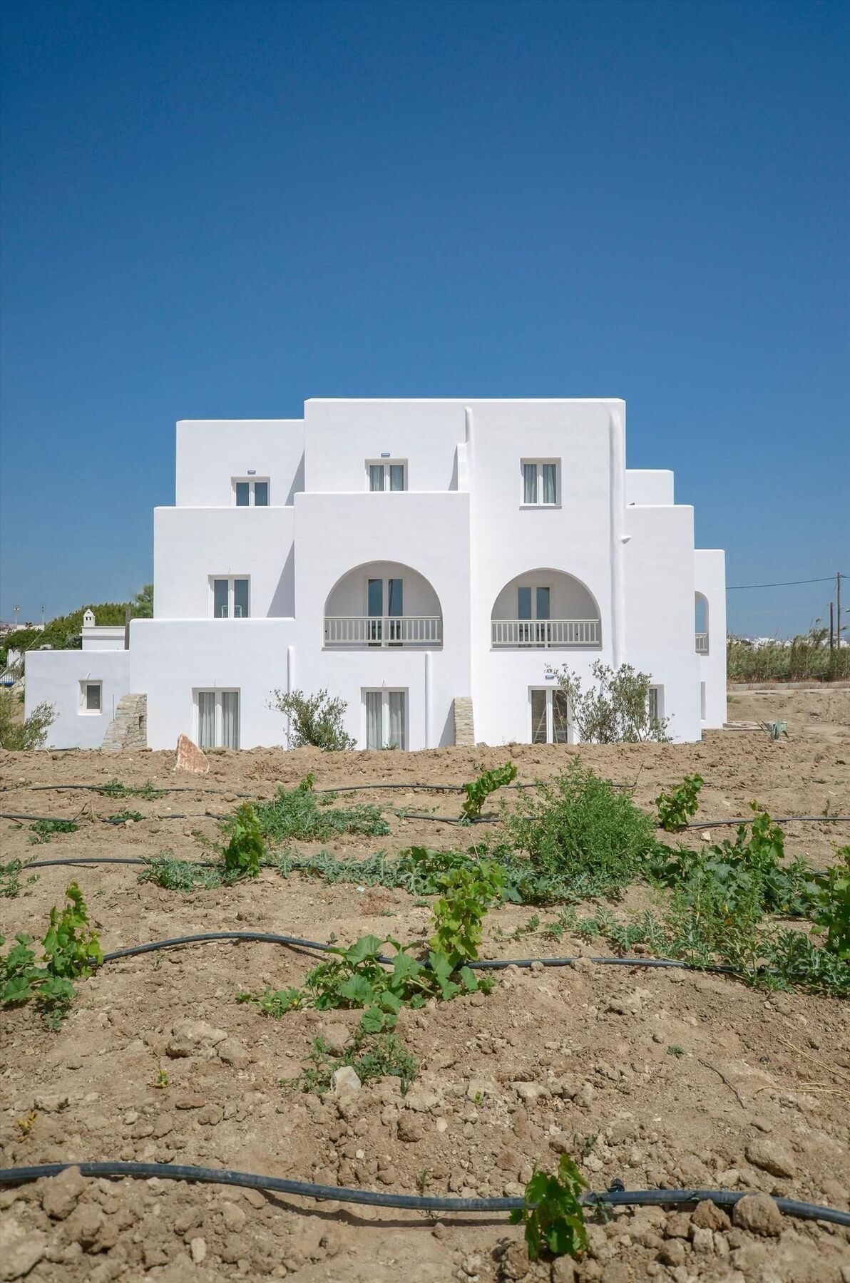 Ktima Lino